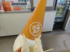-野人先生现做冰淇淋(北京悠唐购物中心店)