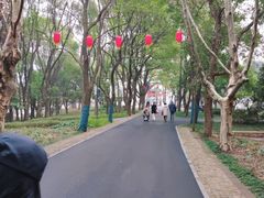 -东湖落雁景区