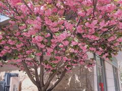 -煮叶(悠唐广场店)