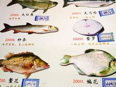 菜单-大鹅岛灶台鱼·铁锅炖(水库路店)