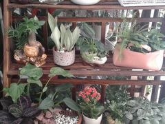 android_upload_pic-香港皇家太平洋酒店