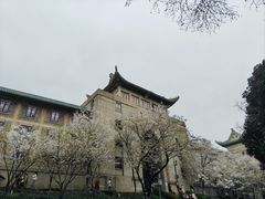 -武汉大学-樱园