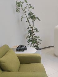 -美丽妈妈产后恢复中心(南桥旗舰店)