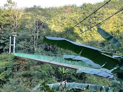 -西双版纳原始森林公园