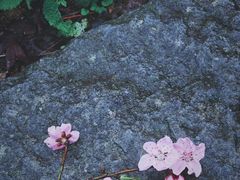 -庐山风景名胜区