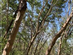 -白草畔自然风景区