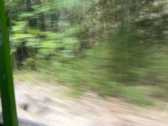 -赤水丹霞旅游区·佛光岩