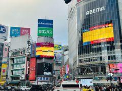 -涩谷区