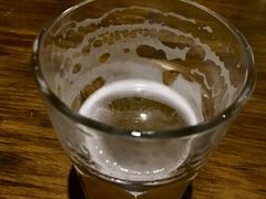 茉莉-百好乐宠物友好餐厅(朝外大街店)