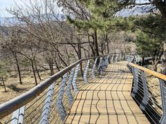 -白水寺森林公园