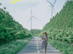 -黄海国家森林公园