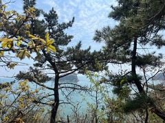 -棒棰岛宾馆景区