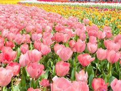 -苏州上方山国家森林公园