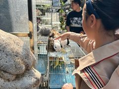 -苏州市皮市街花鸟工艺品市场