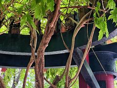 -上海不夜城广场(上海不夜城金融大厦店)