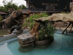 -汤山圣泉