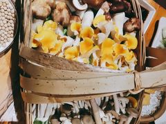 -老滇山寨•云南特色菜•地方菜•民族风情歌舞表演(金碧店)