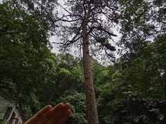 -北京上方山国家森林公园