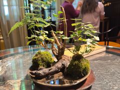 -31号公馆(黄兴广场白果园店)