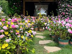 -HERRE·FARM 赫尔露营农场·团建聚会包场