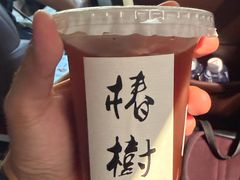 -椿树咖啡