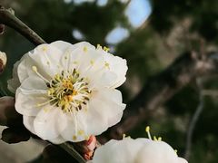 -北京明城墙遗址公园