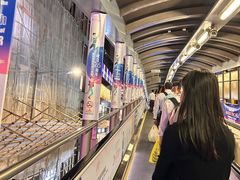 -中环半山扶手电梯