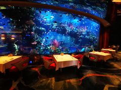 -迪拜帆船酒店海底餐厅