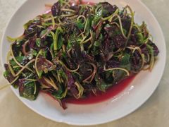 清炒红苋菜-天天向上素食餐厅(五台山店)