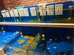 水产区-姜君·千岛湖鱼头馆(浦东大道店)