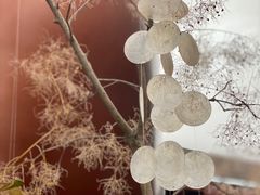 -二酉书店TOYOU BOOKS