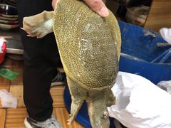 水鱼-濠轩阁特色生蚝火锅(水湾路店)