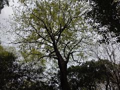 -小格里自然风景区