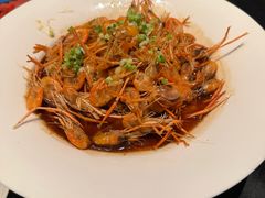 -桂满陇·海市蜃楼·黑金(国金店)