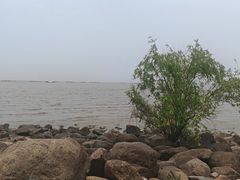 -吴淞炮台湾湿地森林公园烧烤区