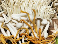 -九府羊·鲜羊火锅·烤串(新华路店)