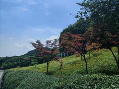 -南京市江宁方山
