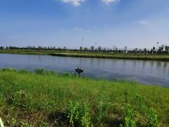 -春花秋色城市公园