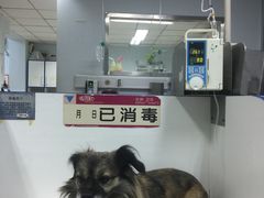 -北京观赏动物医院·24小时大型综合·猫专科·异宠专科