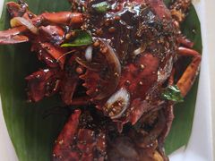 -纽顿熟食中心