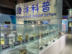 -泉城欧乐堡海洋极地世界
