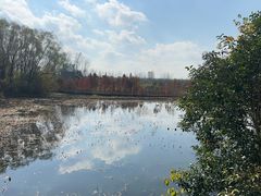 -溱湖国家湿地公园