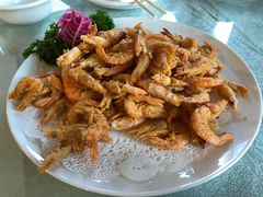 小河虾-好妈王饺子(滂江街店)