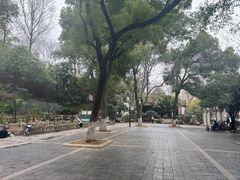 -白沙古井