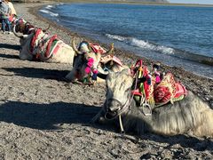 -青海湖国家重点风景名胜区