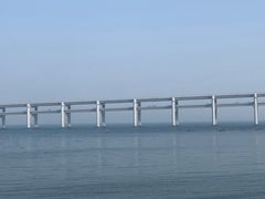 -星海湾跨海大桥