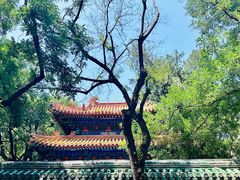 -北京国子监胡同