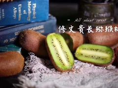 -西郊国际农产品交易中心