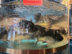-蜀滋香鲜鱼美蛙火锅(339店)