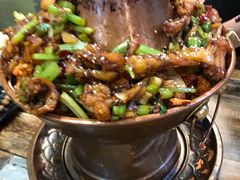 -蛙麻蛙辣炭火蛙锅(南环大街店)